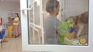 От предательства до безграничной любви | Пьер