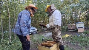 Роение пчёл 2025.mp4