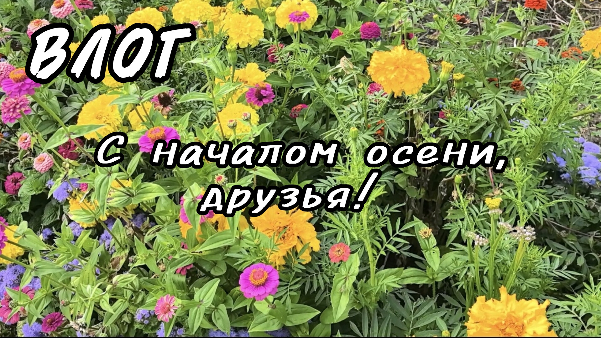 ВЛОГ. С началом осени! смотреть онлайн