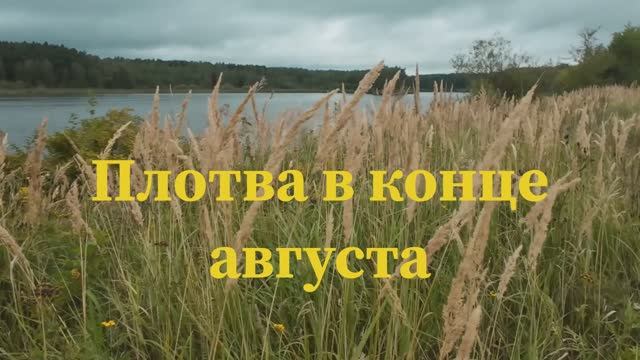 Рыбалка на поплавок в конце августа