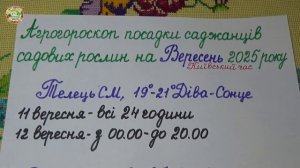 Самые Лучшие Дни Для Посадки Саженцев Садовых Растений в Саду в Сентябре 2025!