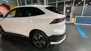 DONGFENG ForthingVIN:LMXG14DA3PZ397161