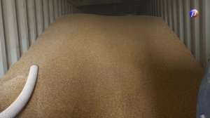 Зимовка крупного скота в округе пройдет без проблем.