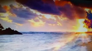 Не сажусь я в чужие сани. читает автор Богдан Бандура.