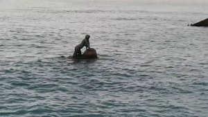 Крым. Мисхорский парк. Ай-Петри. (январь 2021 г).  Crimea.  Miskhorsky park. Ay-Petri. 2021