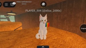 коты воители