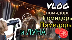 🏡 ВЛОГ Нашли ЛУНУ | Жара | Консервирую |ПОМИДОРЫ 🍅 Август 2025