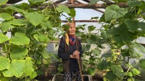 Тиэргэн-2025: "Кэрэни өрө тутар аҕам саастаах ааҕааччыбыт". Вера Павловна Николаева, Үөдүгэй