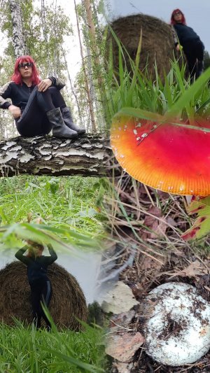 Сгоняли по грибы в лес с подругой и заехали на поля со скирдами сена