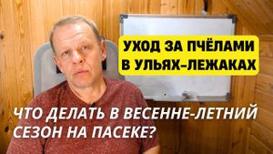 Уход зя пчёлами в ульях лежаках: что делать в весенне-летний сезон на пасеке?