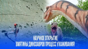 Следы страсти динозавров: невероятные ухаживания, запечатлённые в камне!
