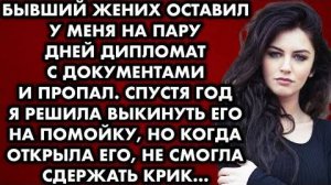 Бывший жених оставил у меня на пару дней дипломат с документами и пропал. Спустя год я решила...