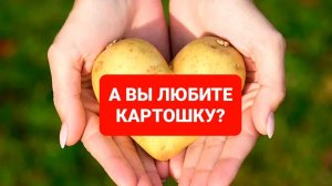 А ВЫ ЛЮБИТЕ КАРТОШКУ?