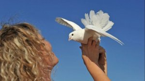 Терапевтические сказки для взрослых. Сказка «Отпусти меня с любовью»