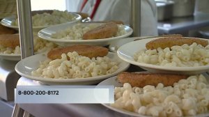 Горячая линия по вопросам школьного питания работает для вологжан