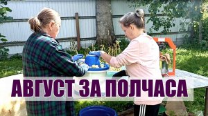 45. ГОТОВИМСЯ К ЗИМЕ ПО ПОЛНОЙ: ПАШЕМ, ПЕРЕРАБАТЫВАЕМ, ПЕРЕСАЖИВАЕМ!