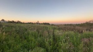 Участок в деревне Колосово