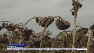 Информационный выпуск Майкопского телевидения 4.09.2025г.