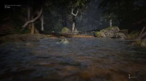 Black Myth Wukong RX 6500 XT 1440p 75% FSR + FG Linux performance benchmark