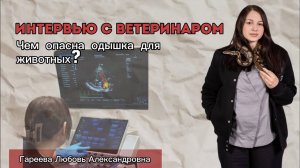 Интервью с ветеринаром: чем опасна одышка у животных🐾