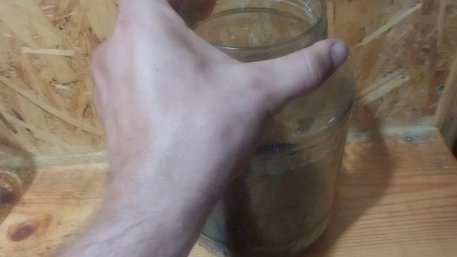 У паука сменился дом!