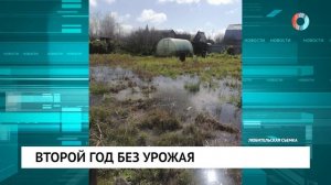 Второй год без урожая