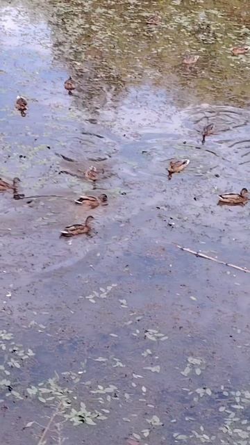 Мудрые слова смотреть онлайн