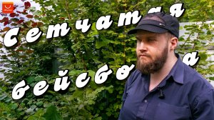 Летняя бейсболка с сеточкой для тёплых деньков 🧢