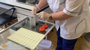 Паразитологические исследования почвы