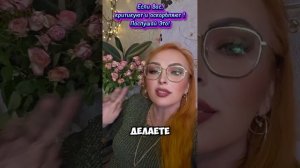 Если вас критикуют!
