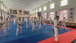 Ката годзю рю - Гекисай дай ичи