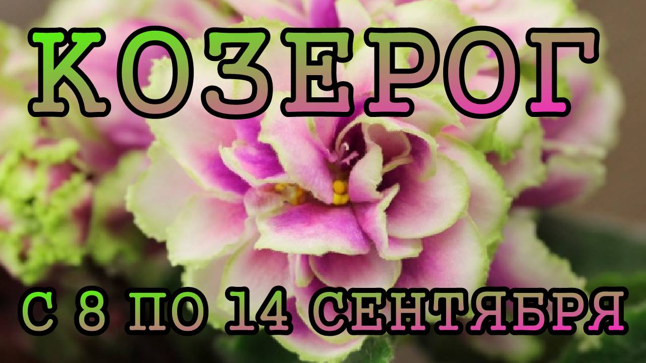 КОЗЕРОГ таро прогноз на неделю с 8 по 14 СЕНТЯБРЯ 2025 года.