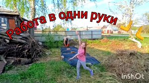 работа в одни руки, побелка плодовых деревьев