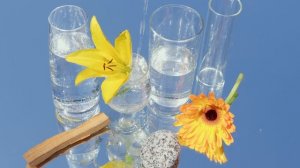 9063346-uhd_4096_2160_30fps