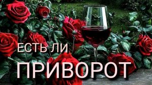 ЕСТЬ  ЛИ  ПРИВОРОТ 🍷