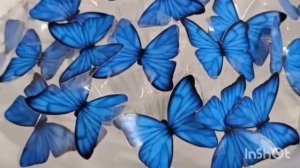 Букет из бабочек #бабочки #букет #светящийсябукет #букетизбабочек #декор #интерьер