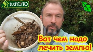 САМОЕ ЗАГАДОЧНОЕ СРЕДСТВО ДЛЯ САМОЙ ПЛОДОРОДНОЙ ПОЧВЫ: в 150 раз дешевле и в 1000 раз эффективнее!