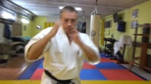 каратэ "Кэншо" - постижение в движении!