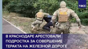 В Краснодаре арестовали подростка за совершение теракта на железной дороге