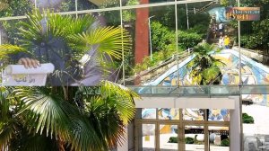 Преподобный ПАИСИЙ СВЯТОГОРЕЦ
В нашу эпоху большинство людей образованны по-мирски и мчатся с высоко