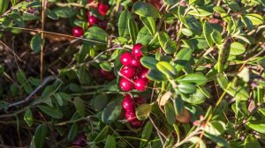 Народные приметы на 5 сентября: что можно и нельзя делать