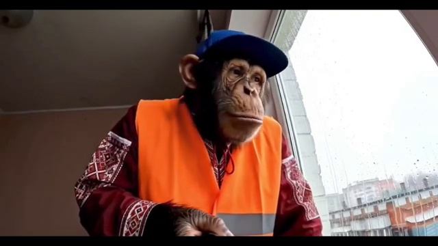 Сборник Гоши