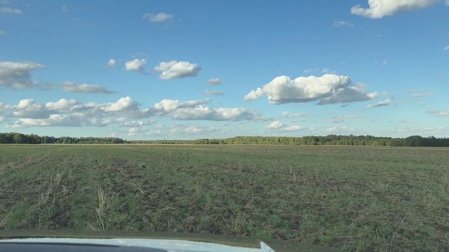 Четкий Выстрел по Самцу на 616 метров | Охота на Сибирскую Косулю с Манком | Гон 2025