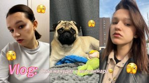 Vlog: Стив начудил у ветеринара! 25.08,04.09.25