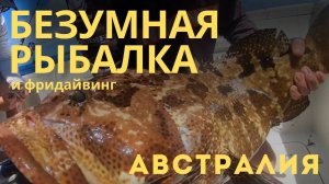 Большой Барьерный риф — безумная рыбалка и фридайвинг в Австралии.