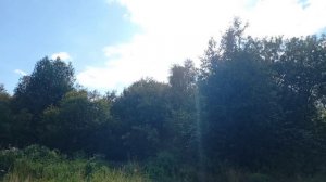 ,Бабье лето'  в разгаре