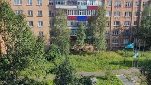 Племени по-холостяцки ответ на комменты про квартиру Всем привет,меня зовут ОлегВеду свой видеоднев