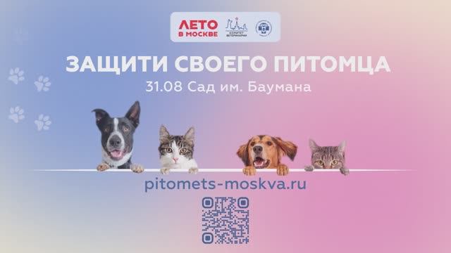 Фестиваль «Защити своего питомца» в Саду им. Н.Э. Баумана | 31.08.2025 смотреть онлайн
