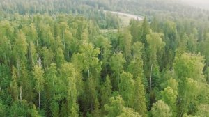 Вильва - Вижай, 2018