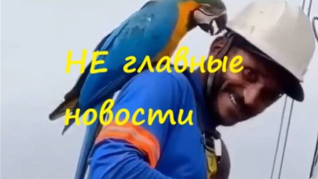 НЕ главные новости
